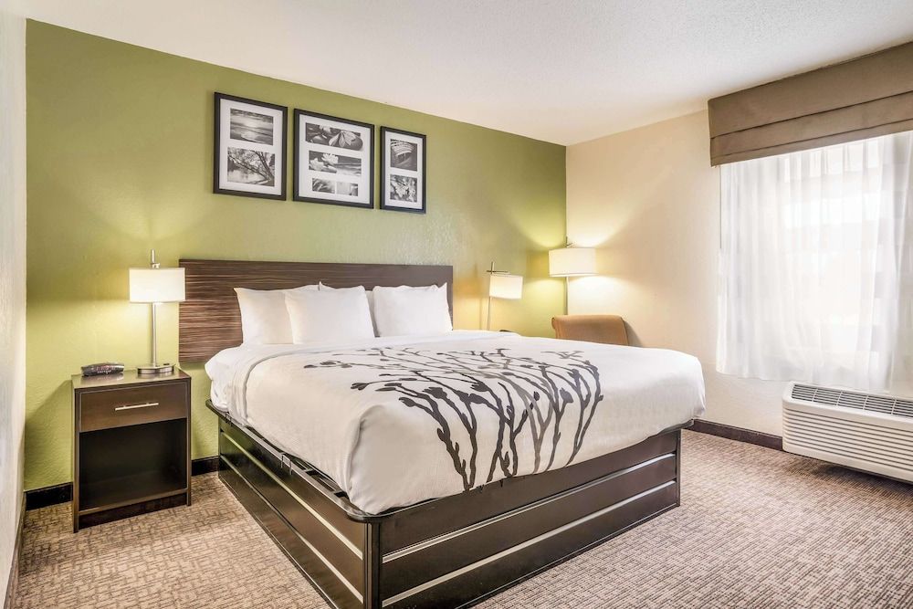 Room, 1 King Bed, Accessible, Non Smoking