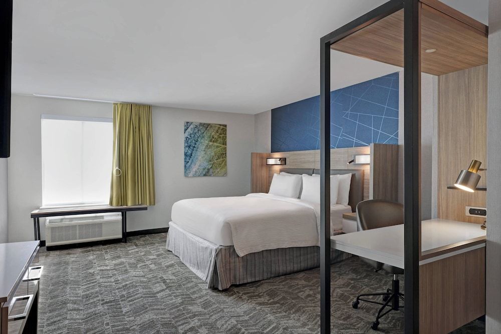 Suite, 1 King Bed with Sofa bed