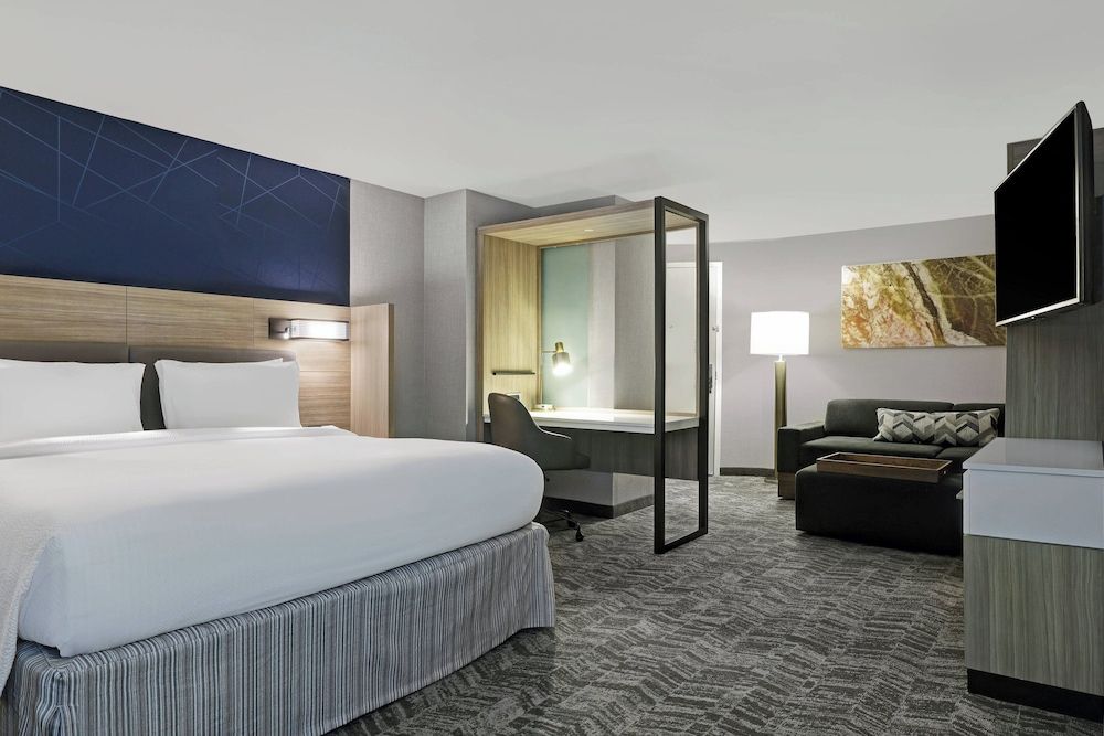 Suite, 1 King Bed with Sofa bed