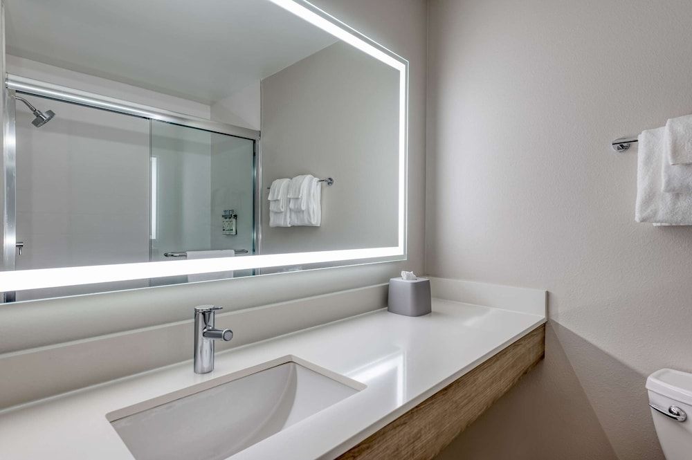 Suite, 1 King Bed, Accessible (Communications, Roll-In Shower)