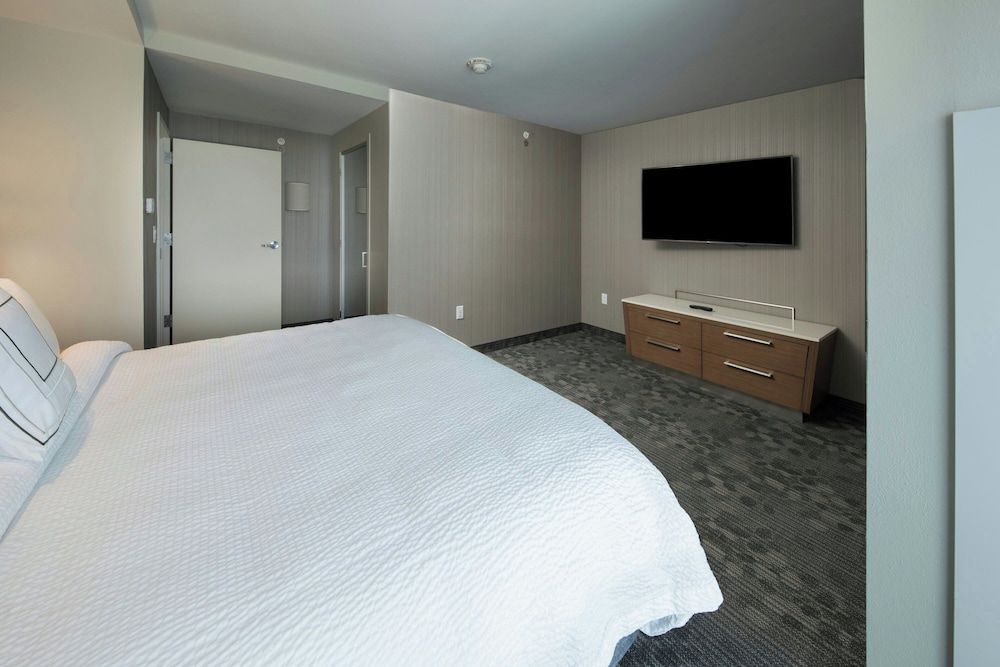 Room, 1 King Bed with Sofa bed, Non Smoking (Mobility/Hearing Access, Roll-in Shwr)