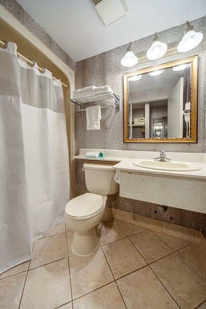 Monte Carlo Inn - Brampton Suites Standard Room with 1 King Bed 8