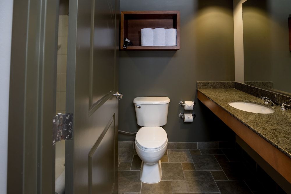 Great Wolf Lodge Bloomington Queen Cabin Suite (Water Park Included) 3