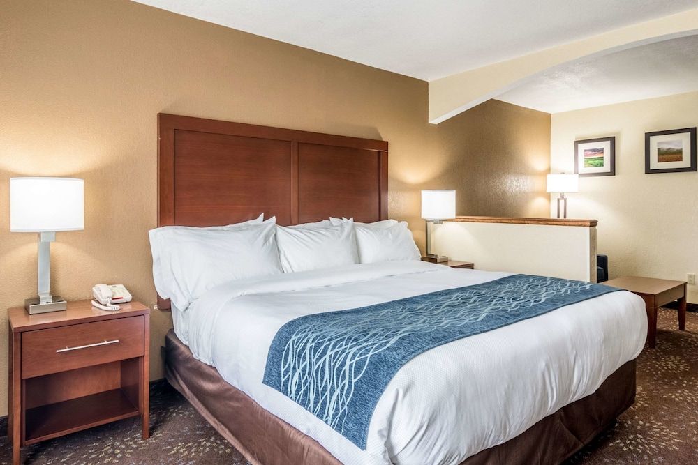 Efficiency, Suite, 1 King Bed with Sofa bed, Non Smoking