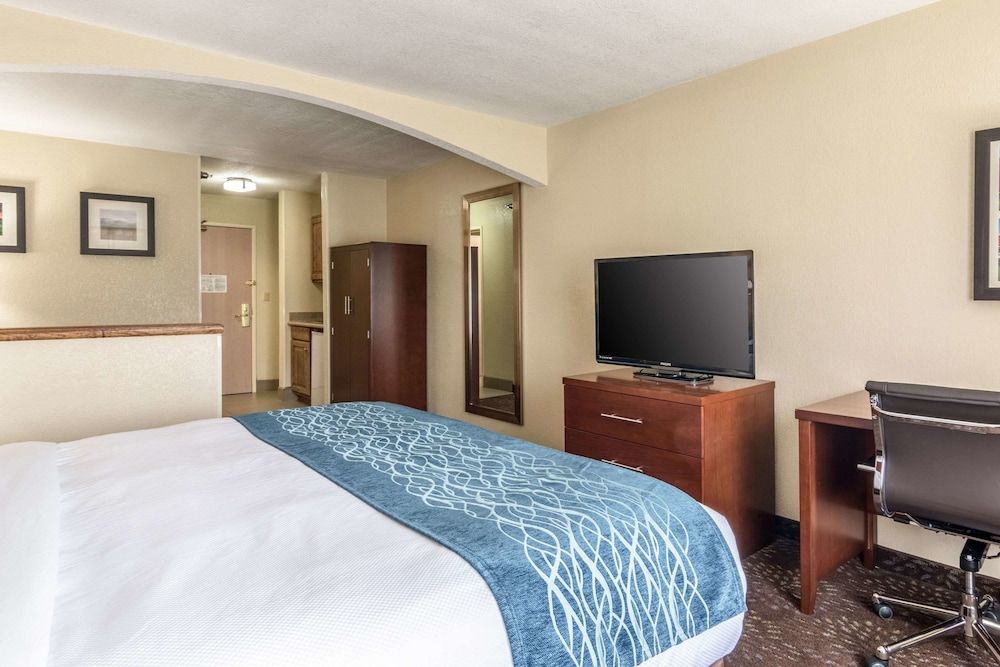 Suite, 1 King Bed with Sofa bed, Non Smoking (Efficiency, Upgrade)