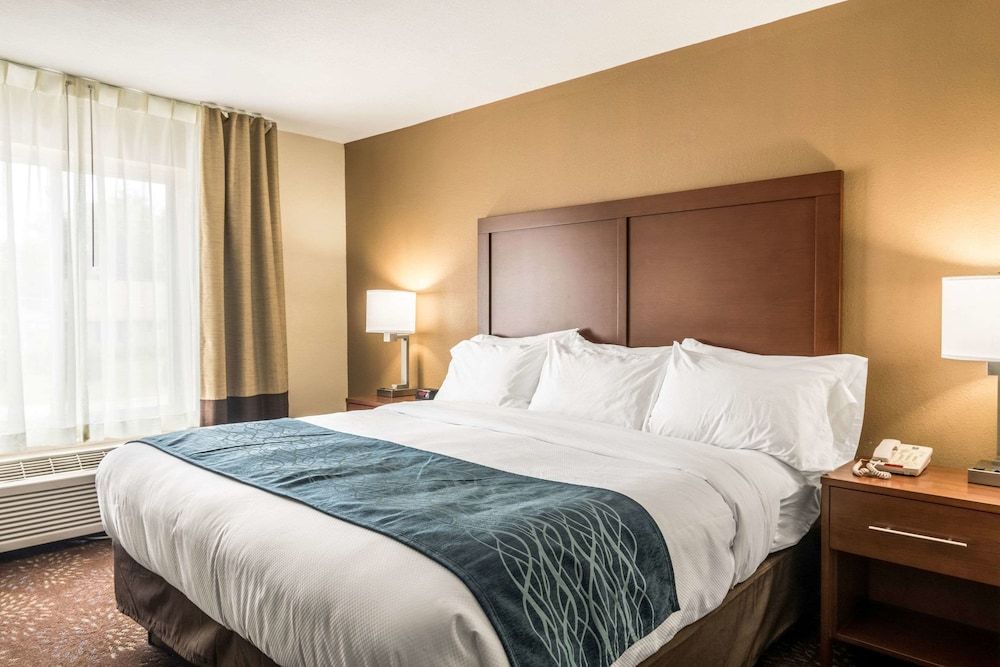 Suite, 1 King Bed with Sofa bed, Non Smoking