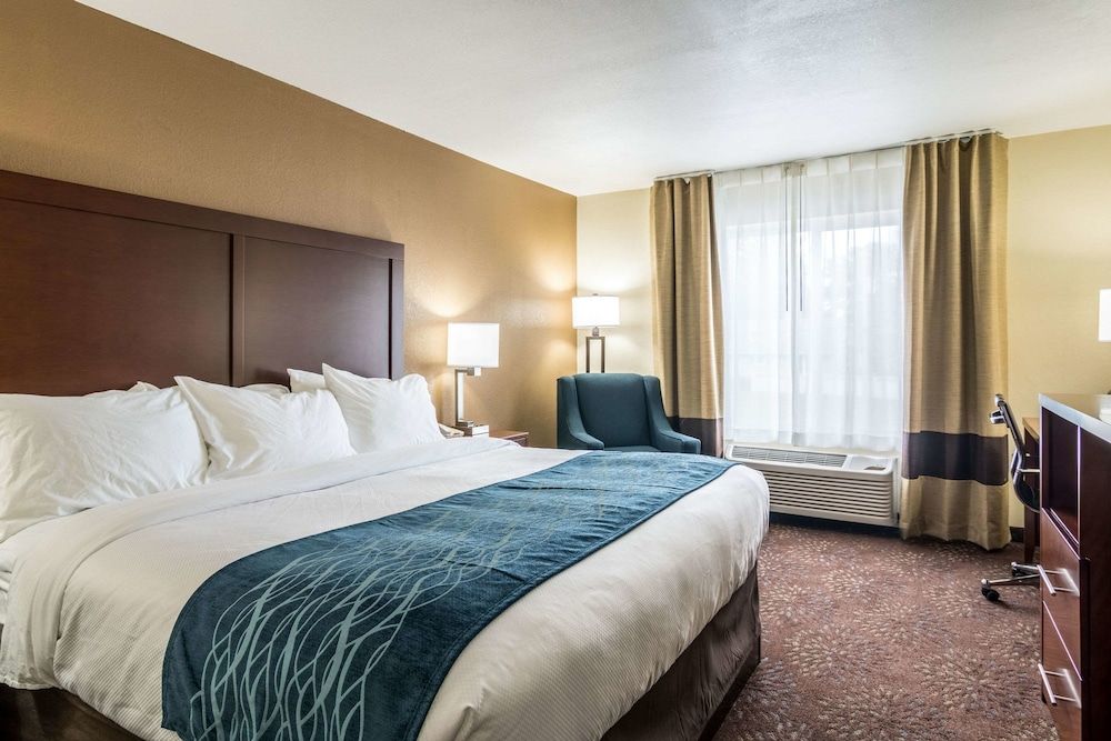 Room, 1 King Bed, Non Smoking