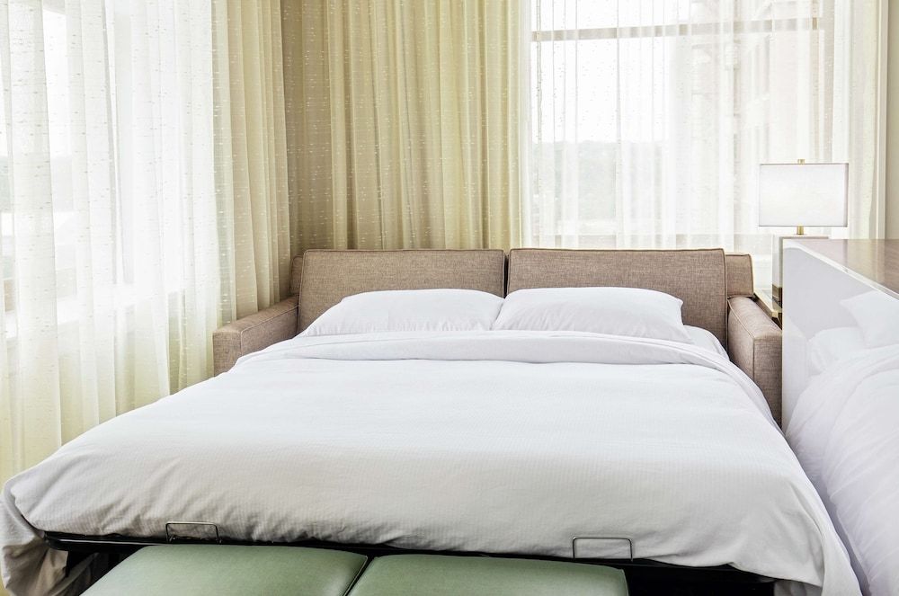 Room, 1 King Bed with Sofa bed