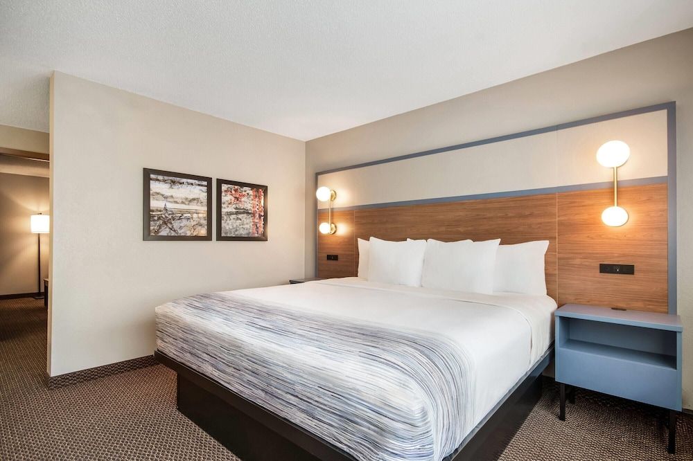 Superior Suite, 1 King Bed, Non Smoking (One-Bedroom Suite)
