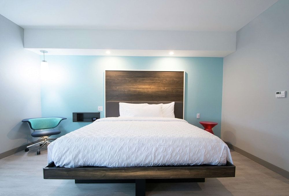 Room, 1 King Bed, Accessible (Roll-In Shower)