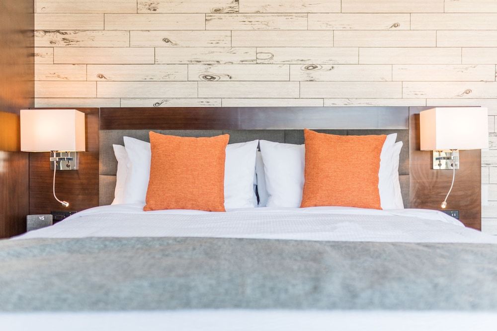 Room, 1 King Bed