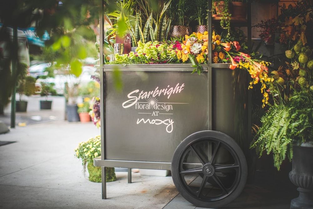 undefined Moxy NYC Chelsea 2