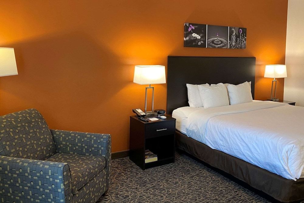 Standard Room, 1 King Bed, Non Smoking