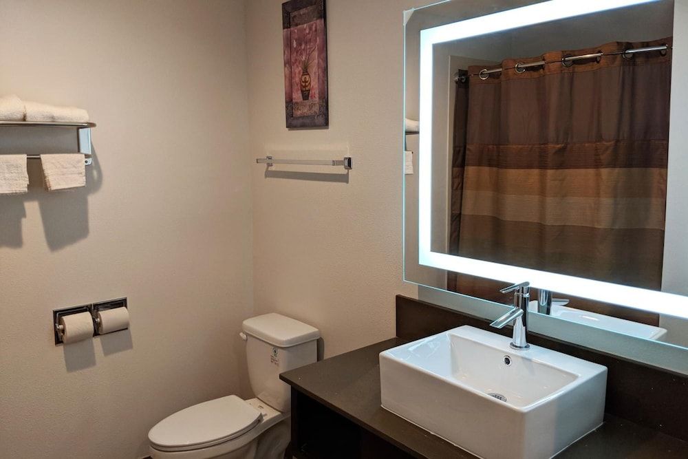 Epic Hotel 1 King Bed, Accessible with Roll-in Shower 3