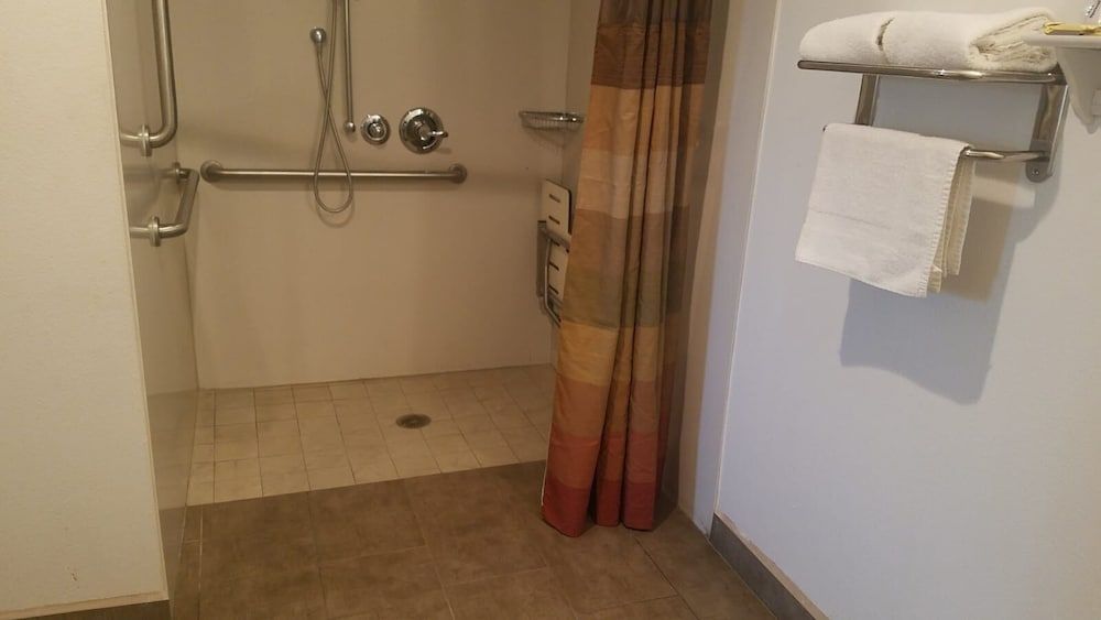 Epic Hotel 1 King Bed, Accessible with Roll-in Shower 2