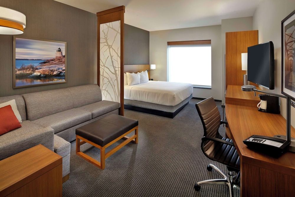 Room, 1 King Bed with Sofa bed, Accessible