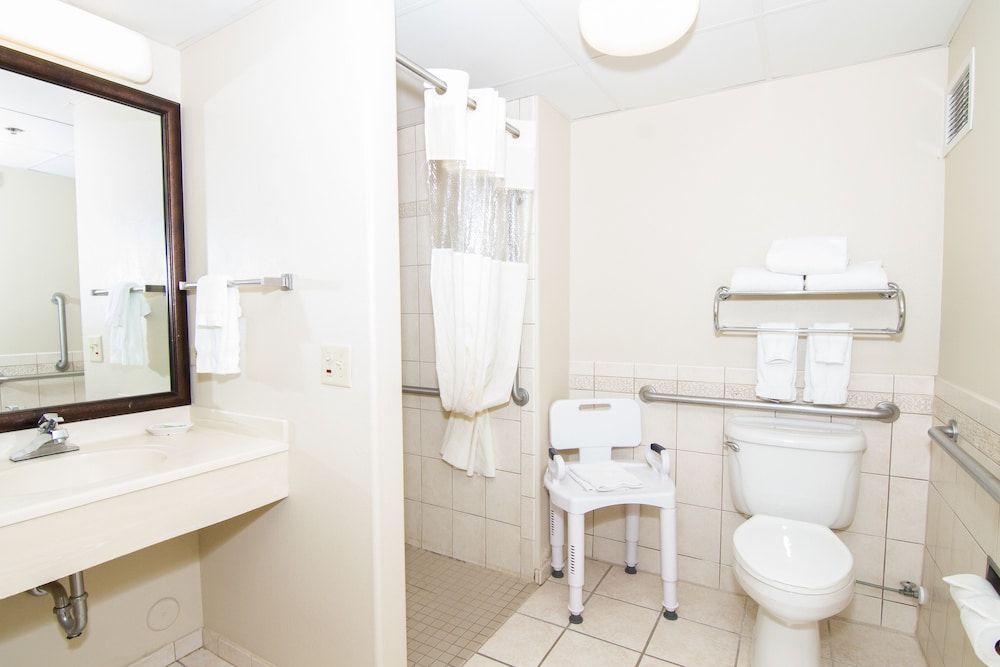 Room, 1 King Bed, Accessible, Non Smoking (Roll-In Shower)