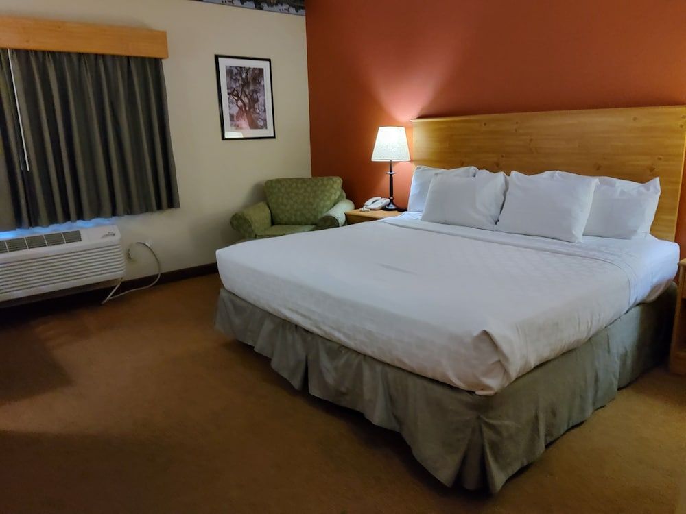 Room, 1 King Bed, Accessible, Non Smoking