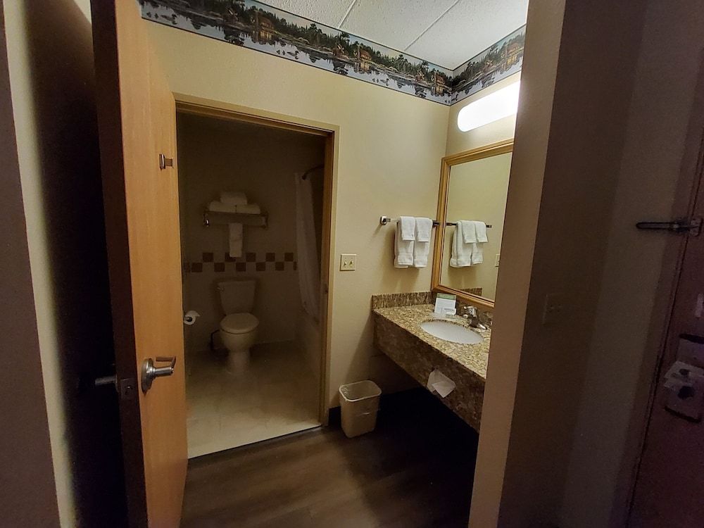 Room, 1 Bedroom, Non Smoking (1 King Bed)