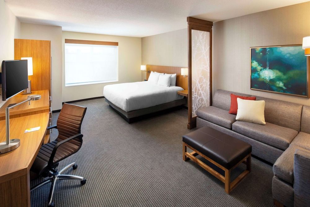 Room, 1 King Bed with Sofa bed