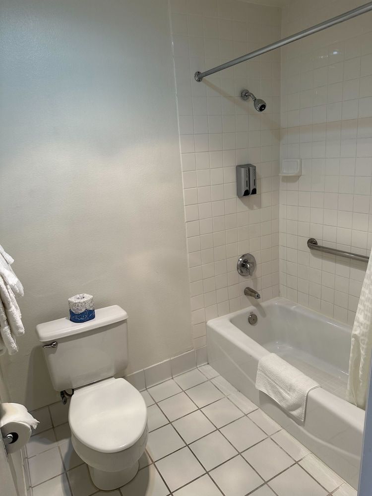 Jolly Roger Hotel Standard One Queen 5