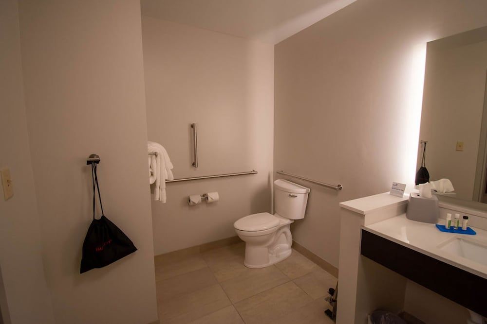 Suite, 1 King Bed with Sofa bed, Accessible Bathtub (Mobility)