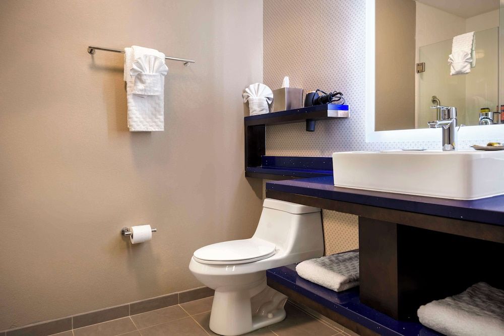 GLō Hotel Asheville-Blue Ridge Parkway Standard Room, 1 King Bed, Non Smoking, Refrigerator 3