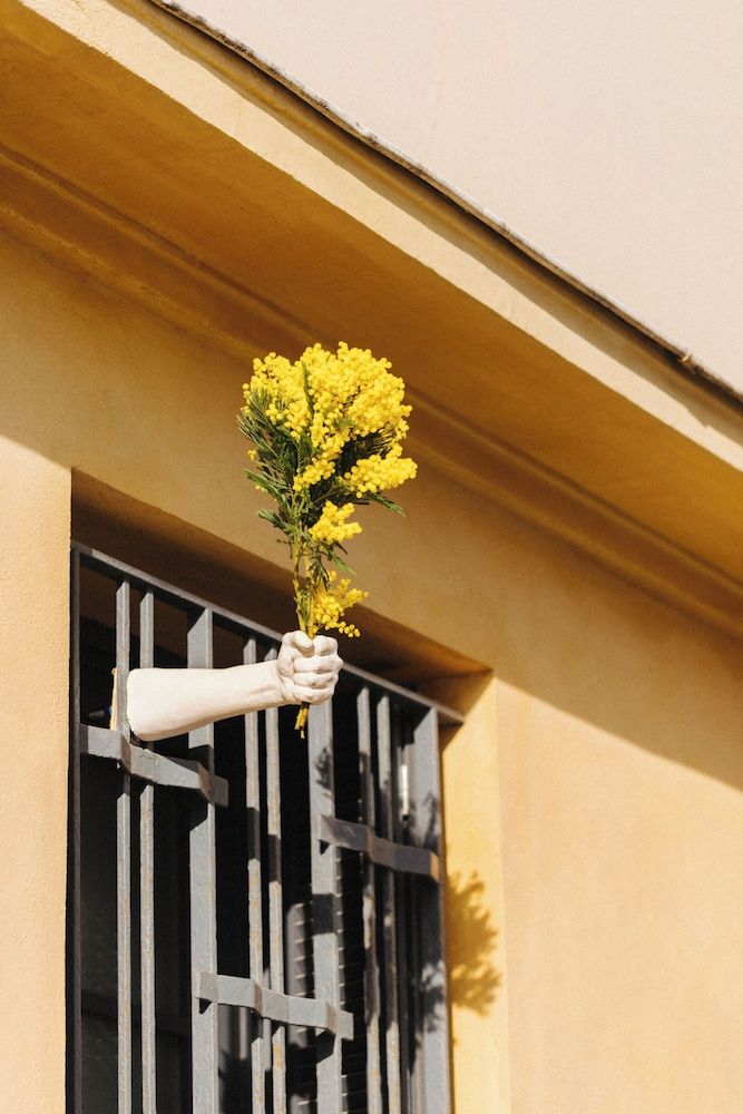 undefined Hôtel Palais de la Méditerranée In The Unbound Collection By Hyatt 3