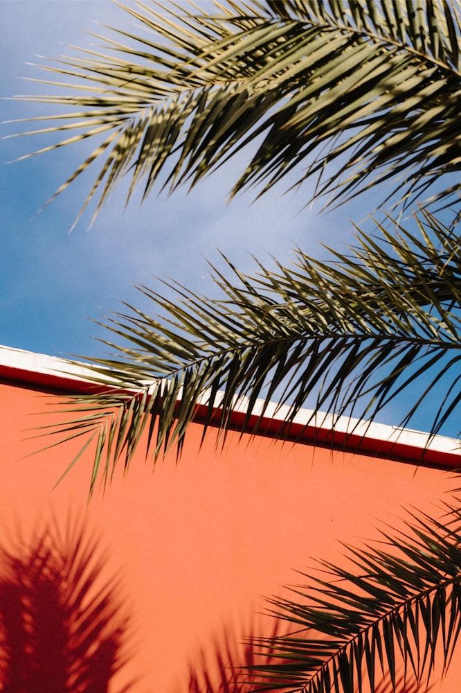 undefined Hôtel Palais de la Méditerranée In The Unbound Collection By Hyatt 4