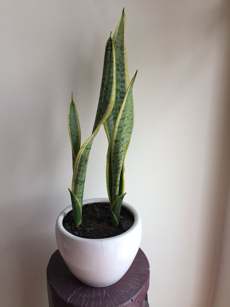 undefined Mai apartment 7