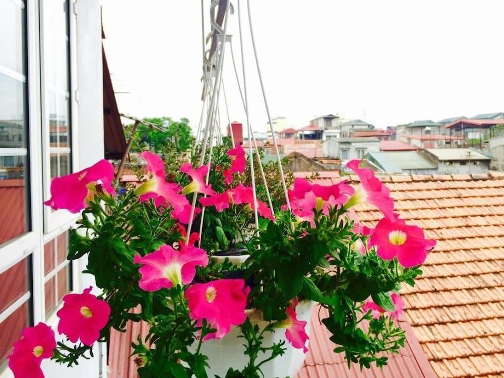 undefined An Family Homestay 5