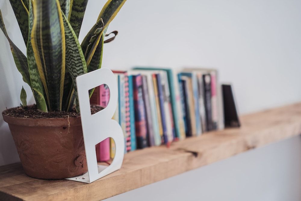 Condodo Homestay Ben Van Don - Hostel Deluxe Double Room 10