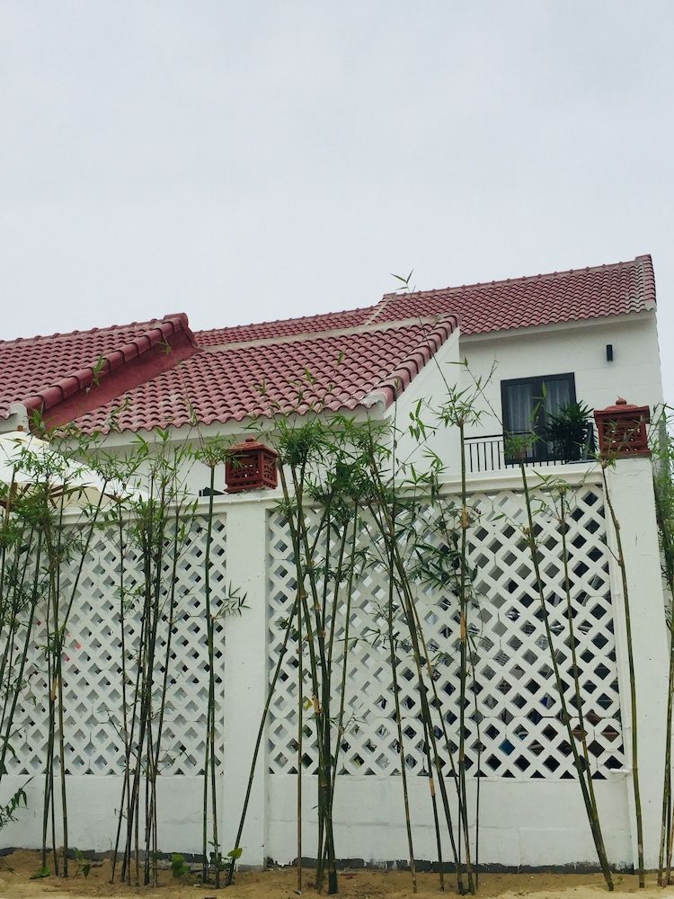 undefined Plants Garden