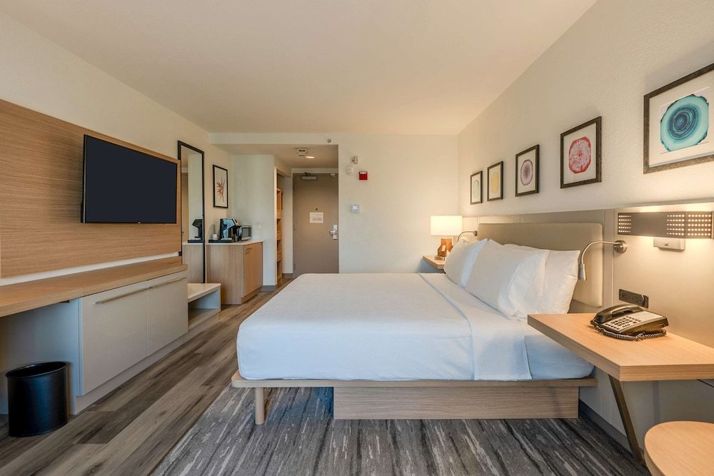 Room, 1 King Bed with Sofa bed
