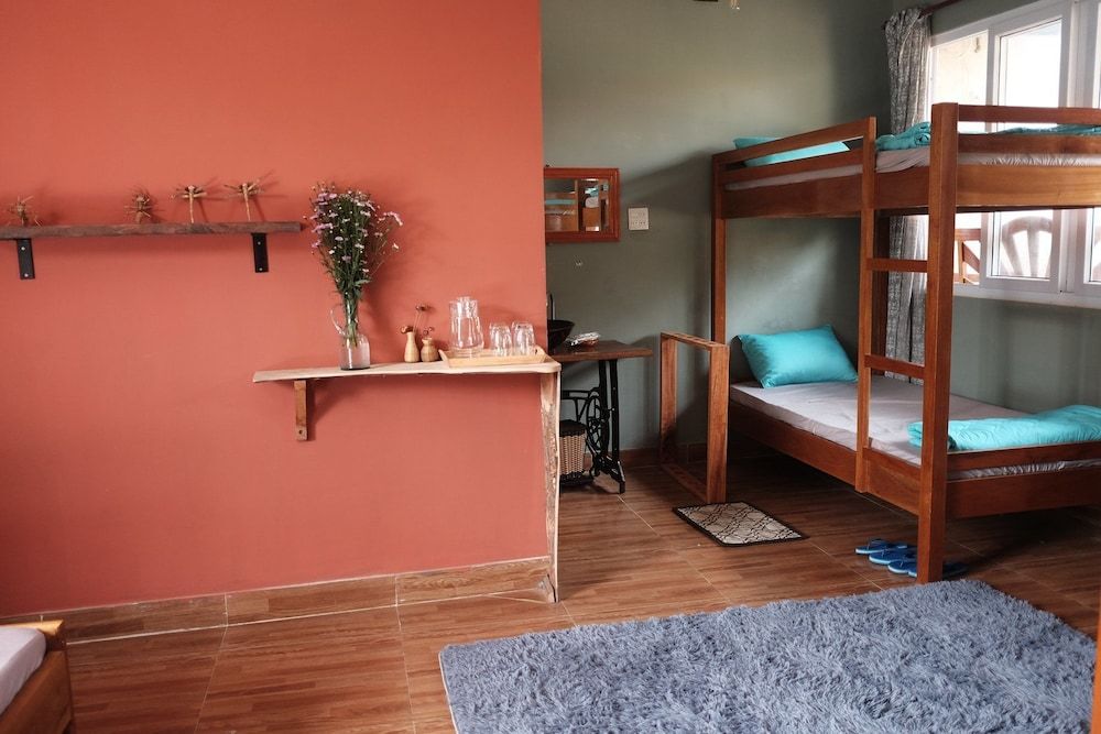 Basic Room, Multiple Beds
