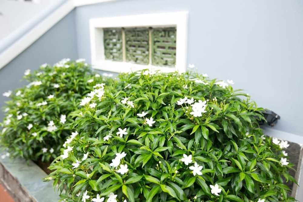 undefined Yen Villa Hoi An 5