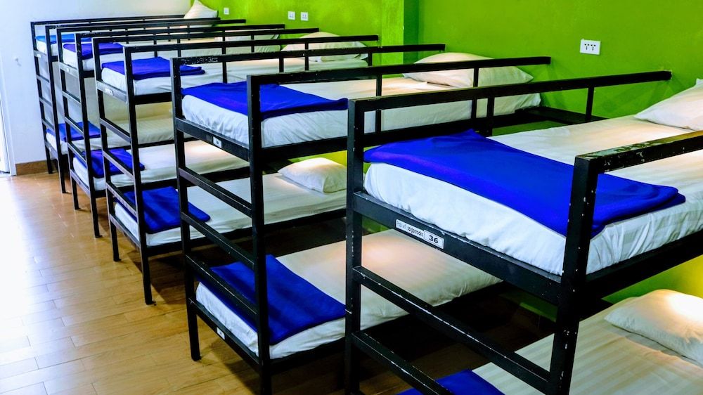 Standard Shared Dormitory, Mixed Dorm, Park View