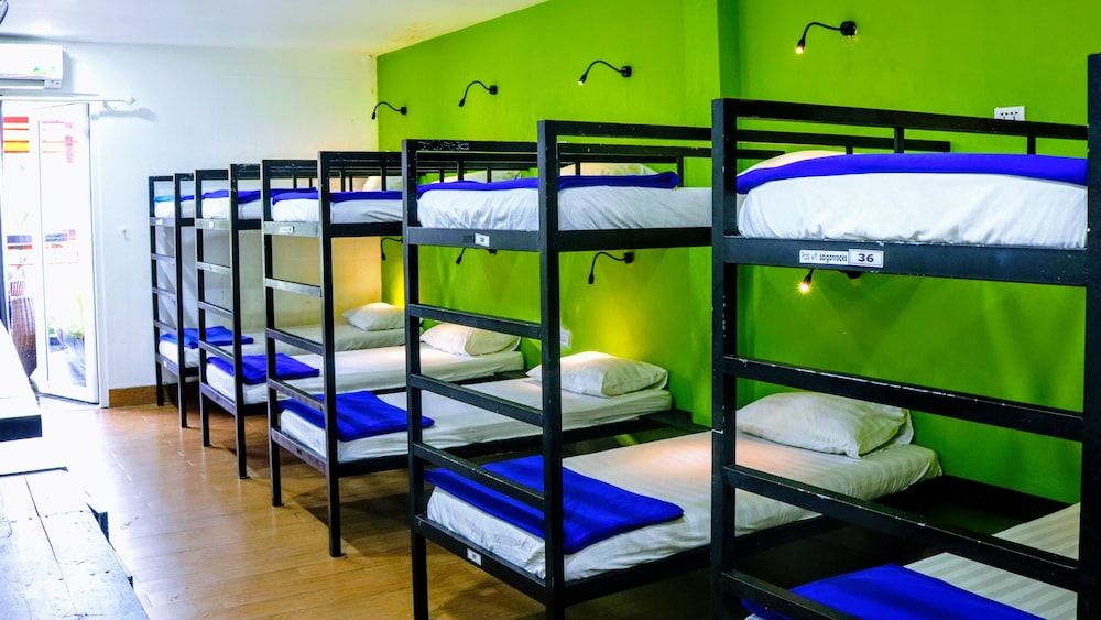 Standard Shared Dormitory, Mixed Dorm, Park View