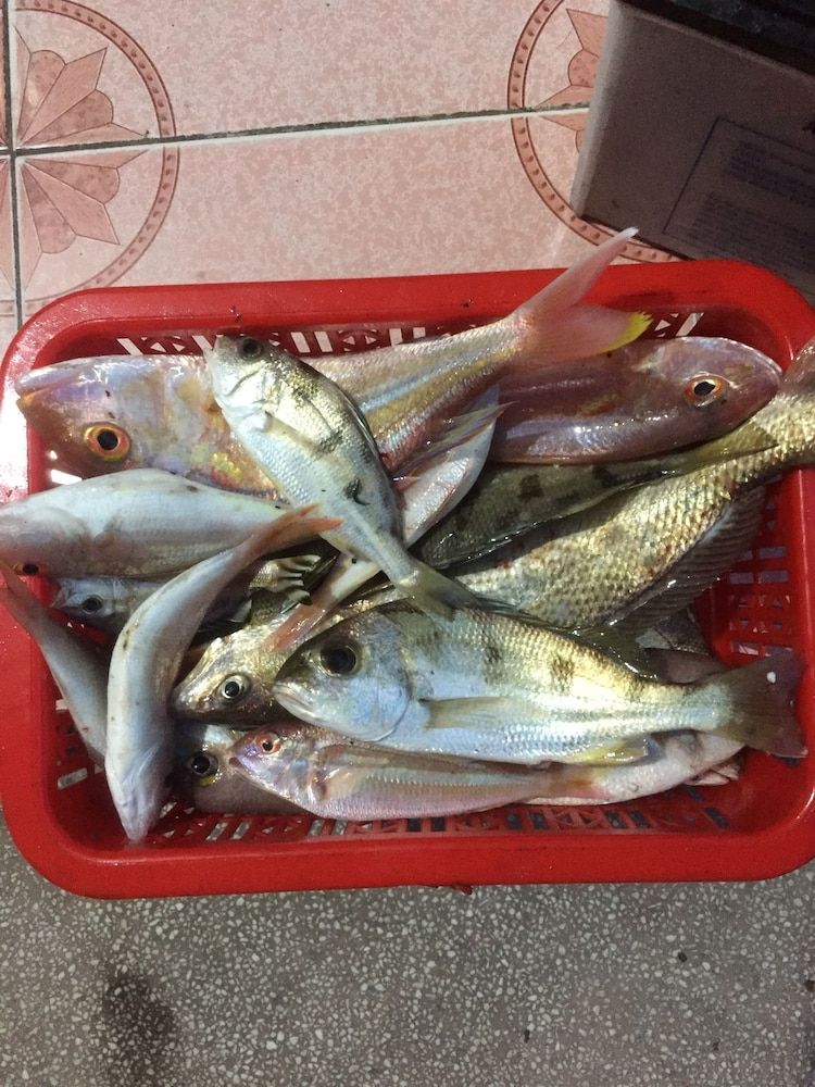 undefined Hoan Khai House 8