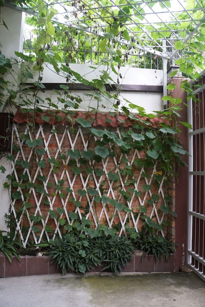 undefined Ananas Family Hotel 7