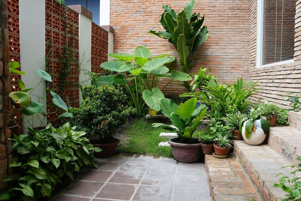 undefined Ananas Family Hotel 6