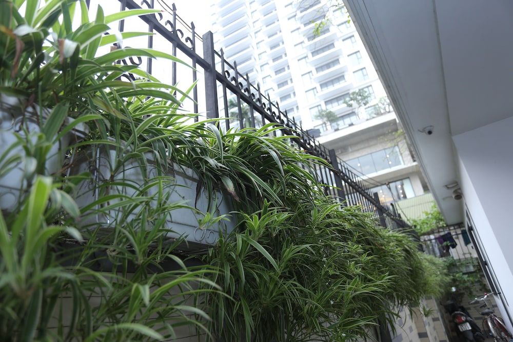 undefined NYT Home Tay Ho No.2