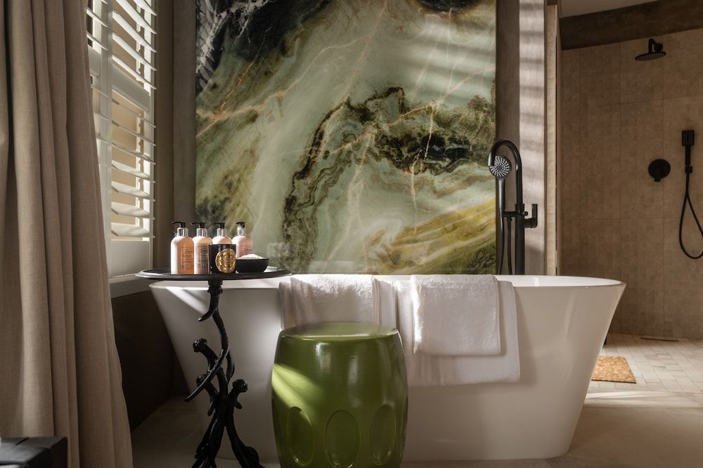 Lush Private Game Lodge Deluxe Suite with Private Plunge Pool 7