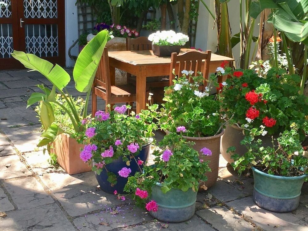 undefined Ocean Golf Guest House