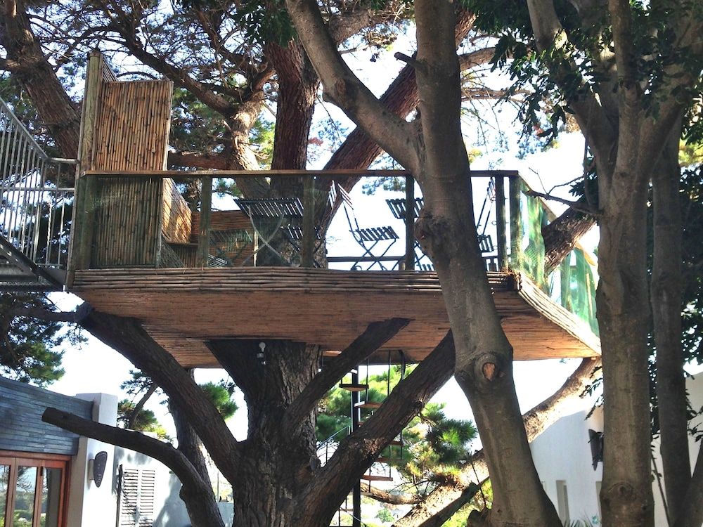 undefined Ocean Golf Guest House 5