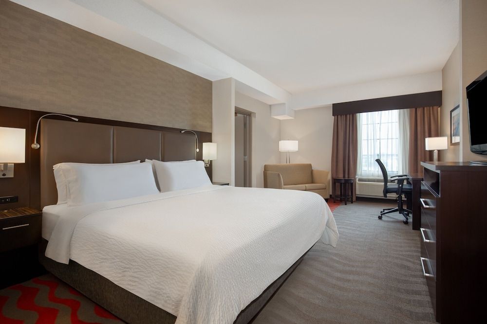 Suite, 1 King Bed with Sofa bed