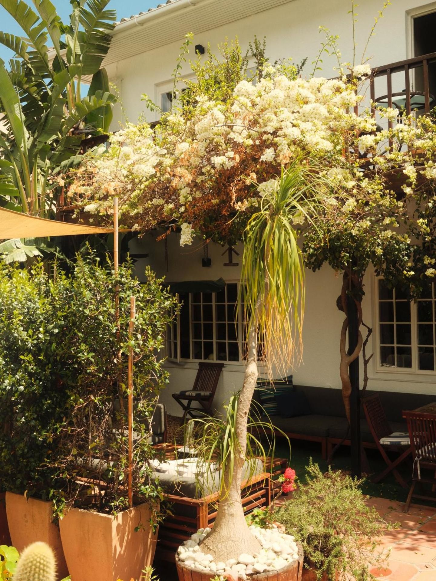 undefined Villa Costa Rose 3