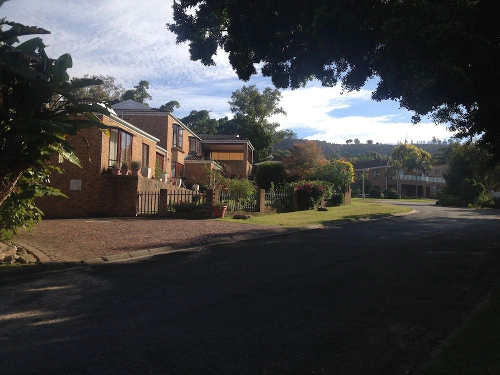 undefined Blue Fern of Knysna 7