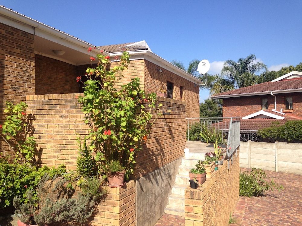 undefined Blue Fern of Knysna 6