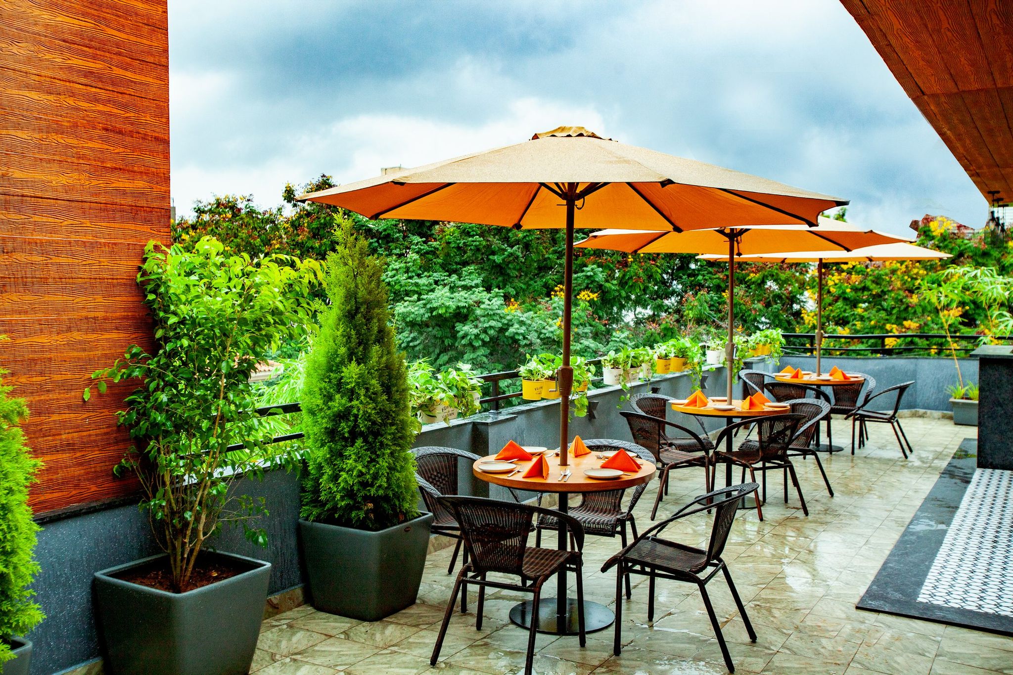 Food & Dining